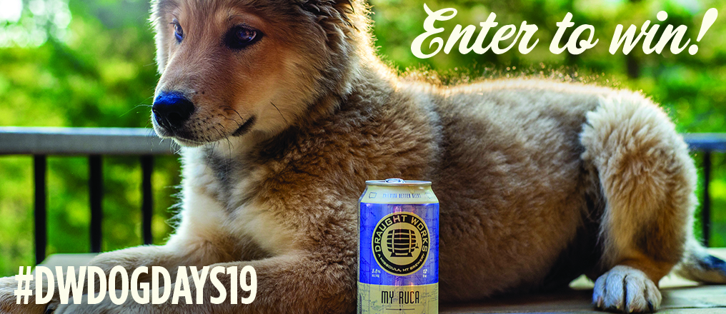 Enter to Win our Instagram Contest: DW Dog Days 2019