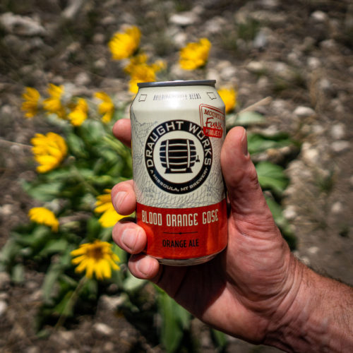 Blood Orange Gose Hike Balsamroot Flower in Montana